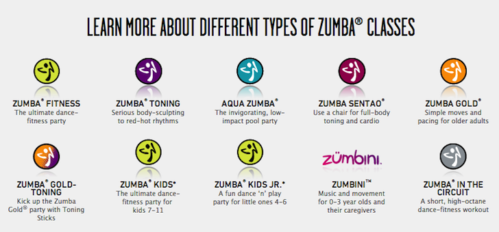 Zumba Fitness Company Snapshot