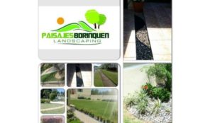 Jardinería y Mantenimiento de Áreas Verdes