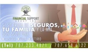 FINANCIAL SUPPORT GROUP TRABAJA DESDE TU CASA