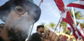 Puerto Rico Marijuana